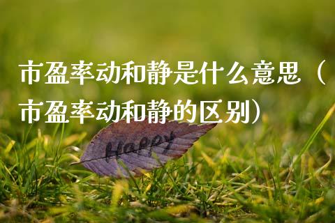 市盈率动和静是什么意思（市盈率动和静的区别） (https://www.njaxzs.com/) 内盘期货 第1张