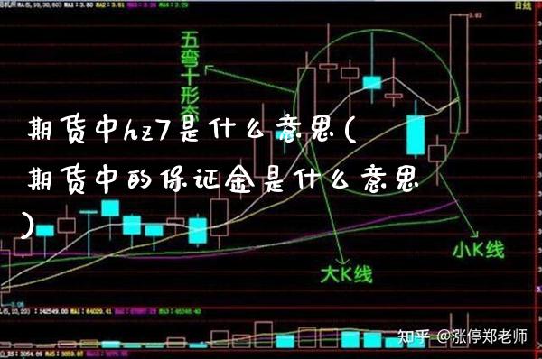 期货中hz7是什么意思(期货中的保证金是什么意思) (https://www.njaxzs.com/) 原油期货 第1张