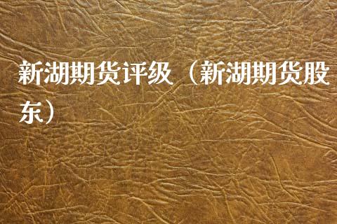 新湖期货评级（新湖期货股东） (https://www.njaxzs.com/) 期货直播间 第1张