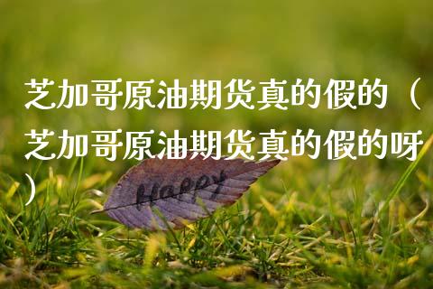 芝加哥原油期货真的假的（芝加哥原油期货真的假的呀） (https://www.njaxzs.com/) 期货直播间 第1张