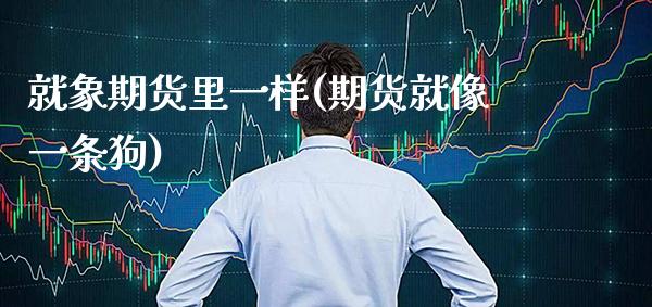 就象期货里一样(期货就像一条狗) (https://www.njaxzs.com/) 期货投资 第1张