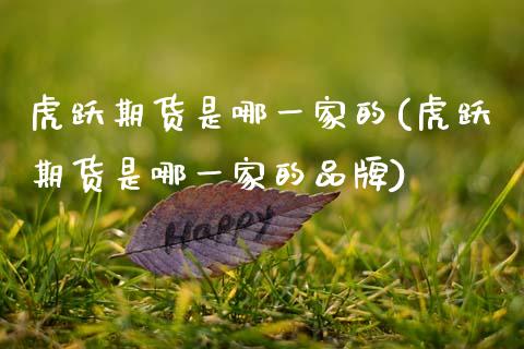 虎跃期货是哪一家的(虎跃期货是哪一家的品牌) (https://www.njaxzs.com/) 期货行情 第1张