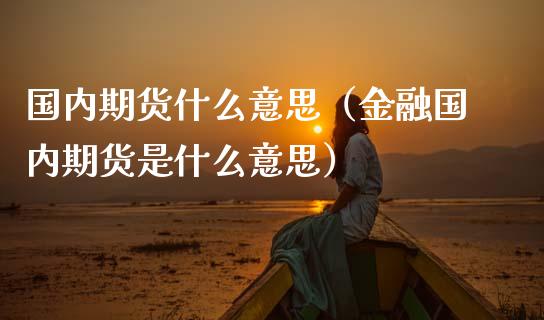 国内期货什么意思（金融国内期货是什么意思） (https://www.njaxzs.com/) 期货直播间 第1张