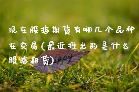 现在股指期货有哪几个品种在交易(最近推出的是什么股指期货) (https://www.njaxzs.com/) 原油期货 第1张