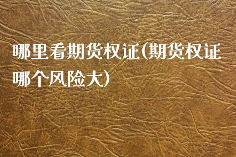 哪里看期货权证(期货权证哪个风险大) (https://www.njaxzs.com/) 期货直播间 第1张