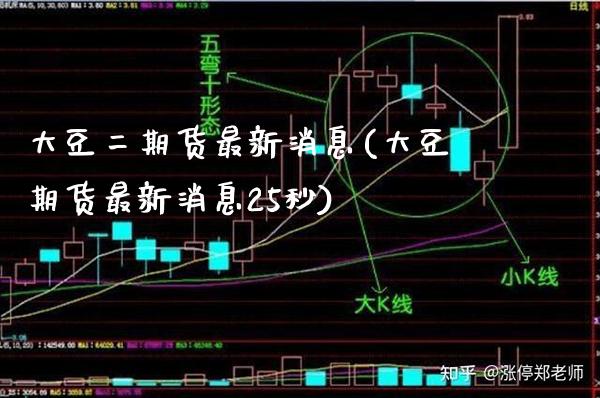 大豆货最新消息(大豆期货最新消息25秒) (https://www.njaxzs.com/) 期货直播间 第1张