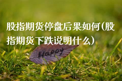 股指期货停盘后果如何(股指期货下跌说明什么) 期货直播间 第1张-爱新财经 股指期货停盘后果如何(股指期货下跌说明什么) (https://www.njaxzs.com/) 期货直播间 第1张