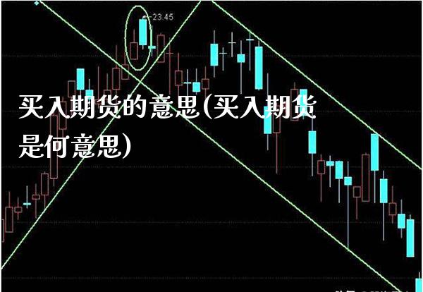 买入期货的意思(买入期货是何意思) 期货投资 第1张-爱新财经 买入期货的意思(买入期货是何意思) (https://www.njaxzs.com/) 期货投资 第1张
