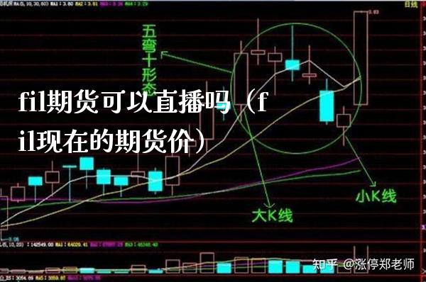 fil期货可以直播吗（fil现在的期货价） (https://www.njaxzs.com/) 期货直播间 第1张