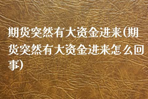 期货突然有大资金进来(期货突然有大资金进来怎么回事) (https://www.njaxzs.com/) 期货行情 第1张