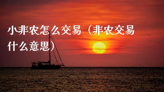 小非农怎么交易（非农交易什么意思） (https://www.njaxzs.com/) 期货直播间 第1张