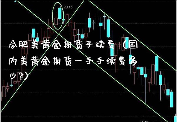 合肥美黄金期货手续费（国内美黄金期货一手手续费多少?） (https://www.njaxzs.com/) 黄金期货 第1张