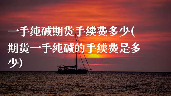 一手纯碱期货手续费多少(期货一手纯碱的手续费是多少) (https://www.njaxzs.com/) 内盘期货 第1张
