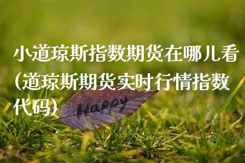 小道琼斯指数期货在哪儿看(道琼斯期货实时行情指数代码) (https://www.njaxzs.com/) 期货开户 第1张