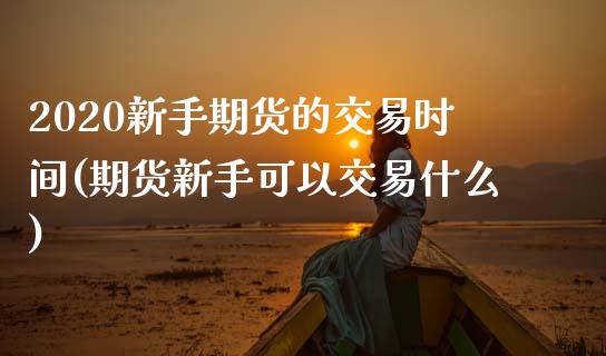 2020新手期货的交易时间(期货新手可以交易什么) (https://www.njaxzs.com/) 期货开户 第1张