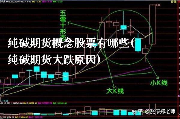 纯碱期货概念股票有哪些(纯碱期货大跌原因) (https://www.njaxzs.com/) 内盘期货 第1张