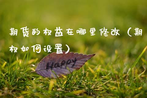 期货的权益在哪里修改（期权如何设置） (https://www.njaxzs.com/) 期货直播间 第1张