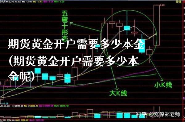 期货黄金开户需要多少本金(期货黄金开户需要多少本金呢) (https://www.njaxzs.com/) 期货行情 第1张