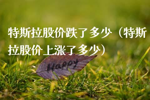 特斯拉股价跌了多少（特斯拉股价上涨了多少） (https://www.njaxzs.com/) 期货直播间 第1张