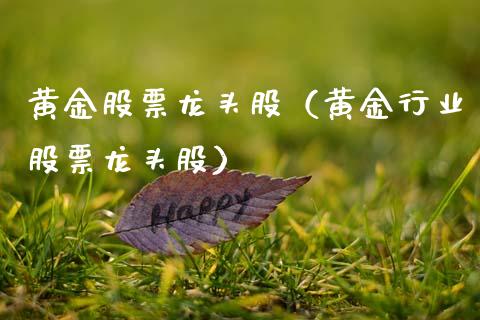黄金股票龙头股（黄金行业股票龙头股） (https://www.njaxzs.com/) 黄金期货 第1张