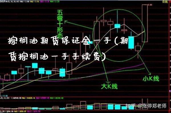 棕榈油期货保证金一手(期货棕榈油一手手续费) (https://www.njaxzs.com/) 原油期货 第1张