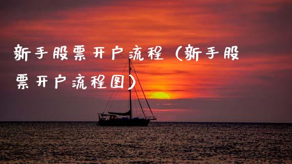 新手流程（新手流程图） (https://www.njaxzs.com/) 期货行情 第1张