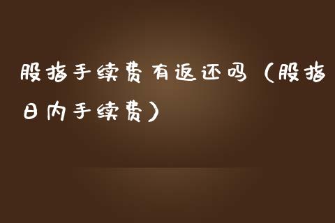 股指手续费有返还吗（股指日内手续费） (https://www.njaxzs.com/) 期货直播间 第1张