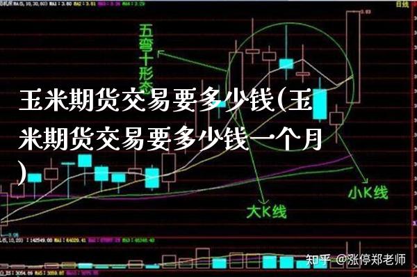 玉米期货交易要多少钱(玉米期货交易要多少钱一个月) (https://www.njaxzs.com/) 原油期货 第1张