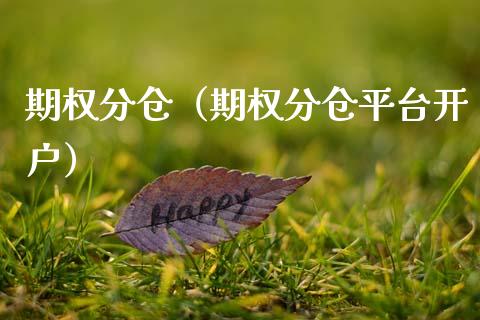 期权分仓（期权分仓平台开户） (https://www.njaxzs.com/) 原油期货 第1张