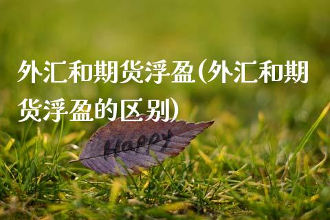 外汇和期货浮盈(外汇和期货浮盈的区别) 期货直播间 第1张-爱新财经 外汇和期货浮盈(外汇和期货浮盈的区别) (https://www.njaxzs.com/) 期货直播间 第1张