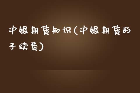 沪银期货知识(沪银期货的手续费) (https://www.njaxzs.com/) 原油期货 第1张