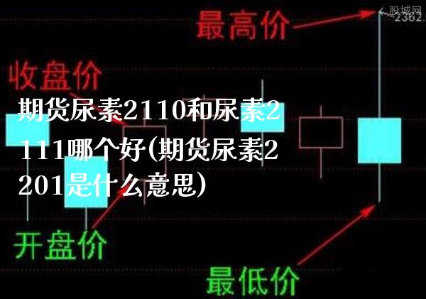 期货尿素2110和尿素2111哪个好(期货尿素2201是什么意思) (https://www.njaxzs.com/) 黄金期货 第1张