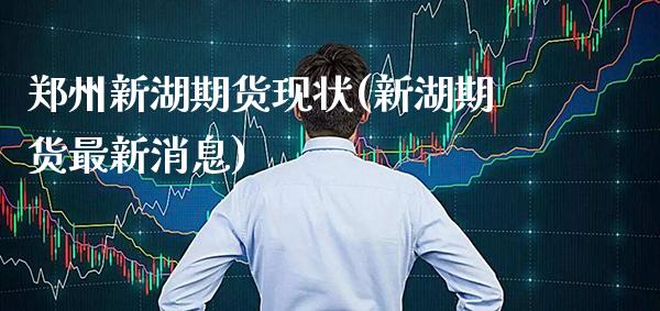 郑州新湖期货现状(新湖期货最新消息) (https://www.njaxzs.com/) 期货行情 第1张