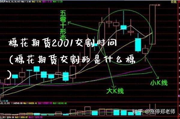棉花期货2001交割时间(棉花期货交割的是什么棉) (https://www.njaxzs.com/) 黄金期货 第1张