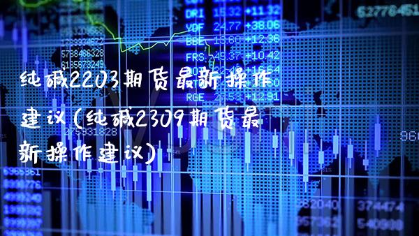 纯碱2203期货最新操作建议(纯碱2309期货最新操作建议) (https://www.njaxzs.com/) 内盘期货 第1张