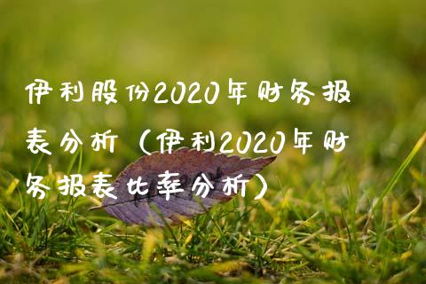 伊利股份2020年财务报表分析（伊利2020年财务报表比率分析） (https://www.njaxzs.com/) 期货行情 第1张
