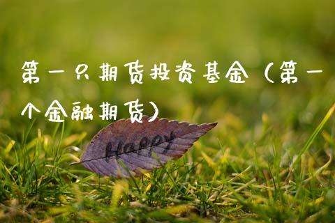 第一只期货投资基金（第一个金融期货） (https://www.njaxzs.com/) 内盘期货 第1张