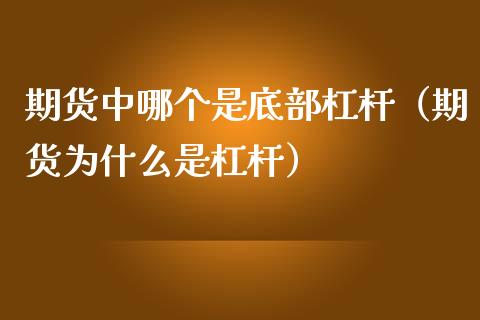 期货中哪个是底部杠杆（期货为什么是杠杆） (https://www.njaxzs.com/) 期货直播间 第1张