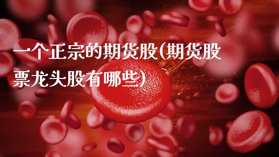 一个正宗的期货股(期货股票龙头股有哪些) (https://www.njaxzs.com/) 期货投资 第1张