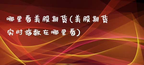 哪里看美股期货(美股期货实时指数在哪里看) (https://www.njaxzs.com/) 期货行情 第1张