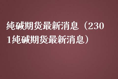纯碱期货最新消息（2301纯碱期货最新消息） (https://www.njaxzs.com/) 期货直播间 第1张