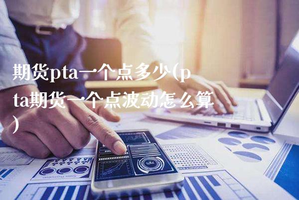 期货pta一个点多少(pta期货一个点波动怎么算) (https://www.njaxzs.com/) 期货行情 第1张