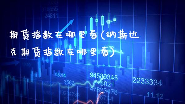 期货指数在哪里看(纳斯达克期货指数在哪里看) (https://www.njaxzs.com/) 期货行情 第1张