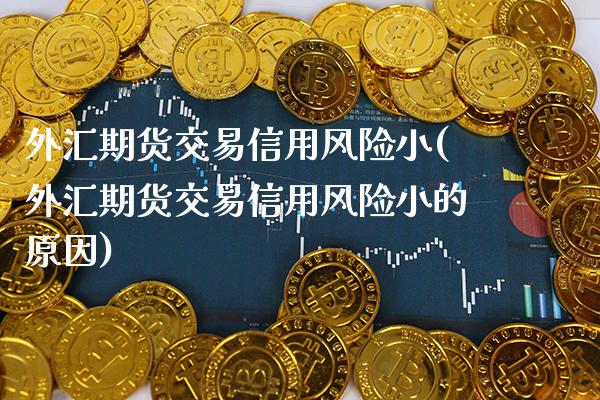 外汇期货交易信用风险小(外汇期货交易信用风险小的原因) (https://www.njaxzs.com/) 黄金期货 第1张