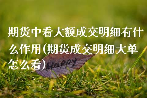 期货中看大额成交明细有什么作用(期货成交明细大单怎么看) 期货直播间 第1张-爱新财经 期货中看大额成交明细有什么作用(期货成交明细大单怎么看) (https://www.njaxzs.com/) 期货直播间 第1张