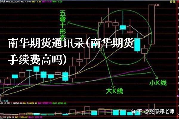 南华期货通讯录(南华期货手续费高吗) (https://www.njaxzs.com/) 期货开户 第1张