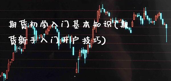 期货初学入门基本知识(期货新手入门开户技巧) (https://www.njaxzs.com/) 内盘期货 第1张