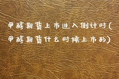 甲醇期货上市进入倒计时(甲醇期货什么时候上市的) (https://www.njaxzs.com/) 期货投资 第1张