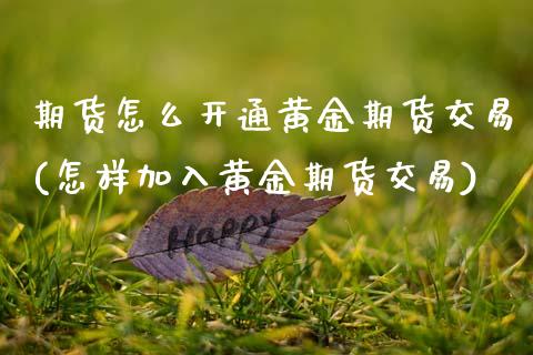 期货怎么开通黄金期货交易(怎样加入黄金期货交易) (https://www.njaxzs.com/) 黄金期货 第1张