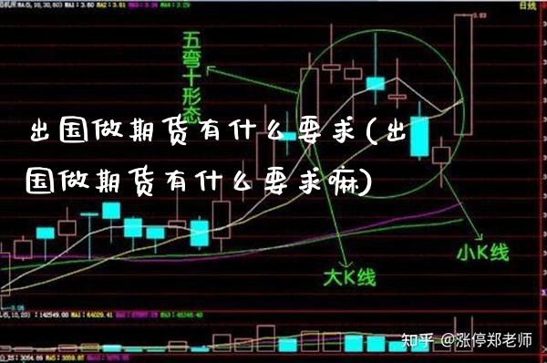 出国做期货有什么要求(出国做期货有什么要求嘛) (https://www.njaxzs.com/) 期货直播间 第1张